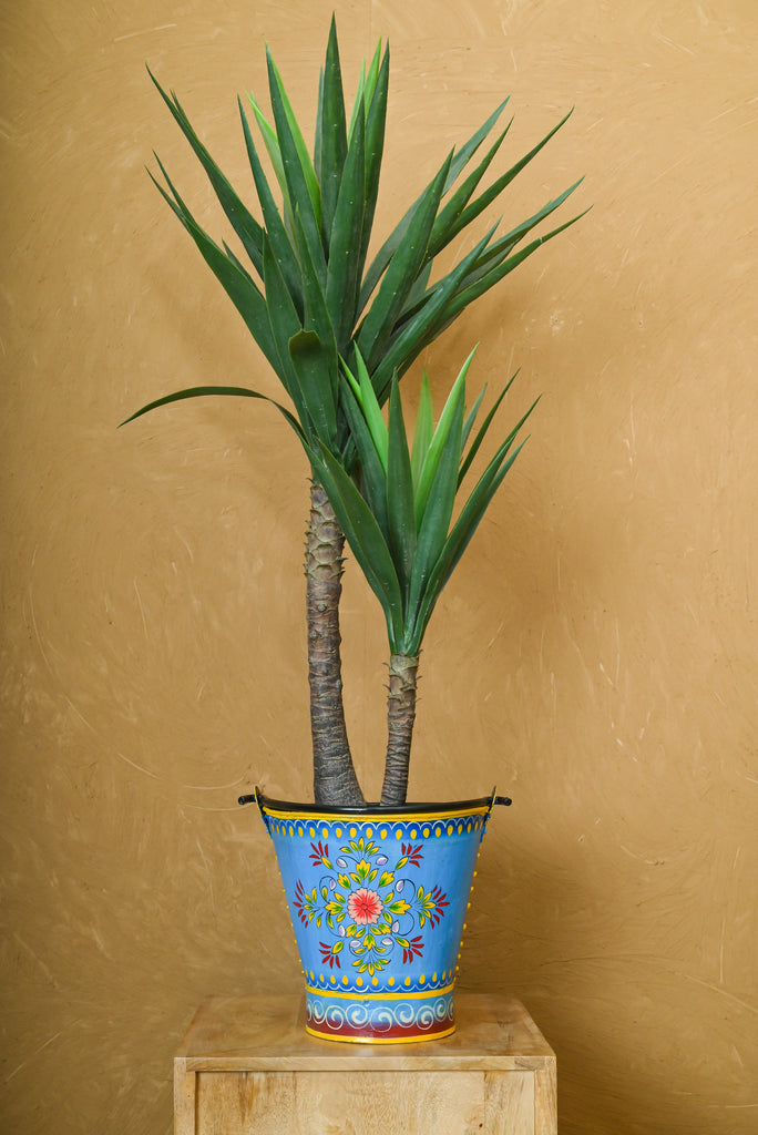 Blue Vintage Hand Painted Bucket Planter - Add Charm to Your Plants