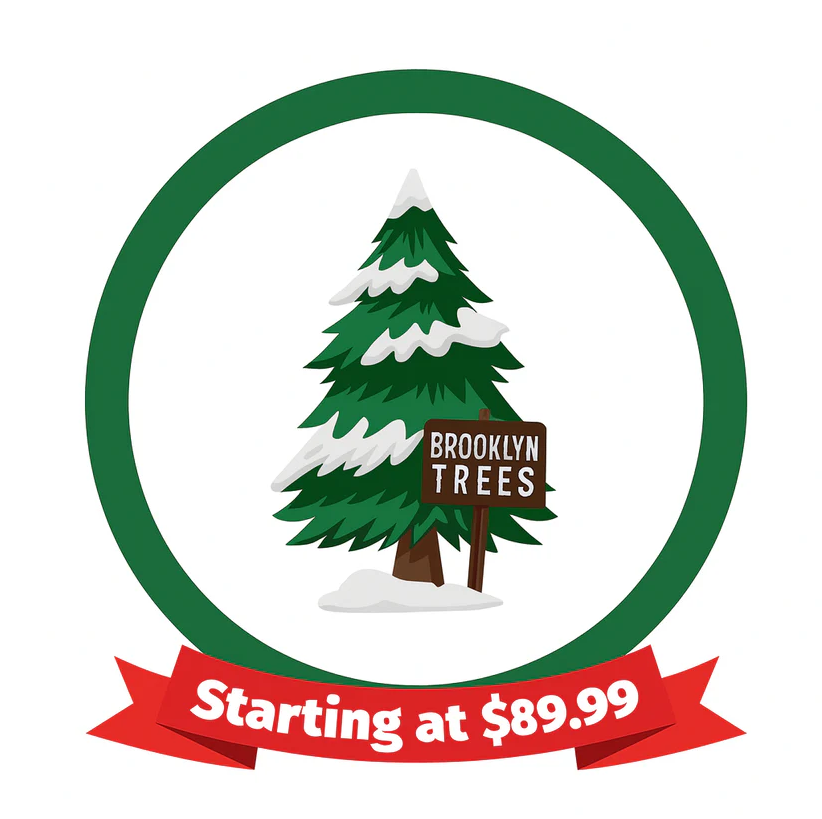 Christmas Trees - Fraser & Balsam Firs – Embrace Tradition