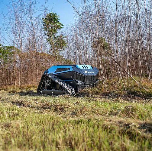 Remote Control LawnRover