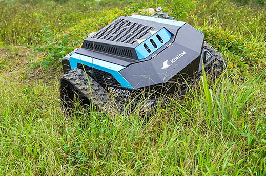Remote Control LawnRover